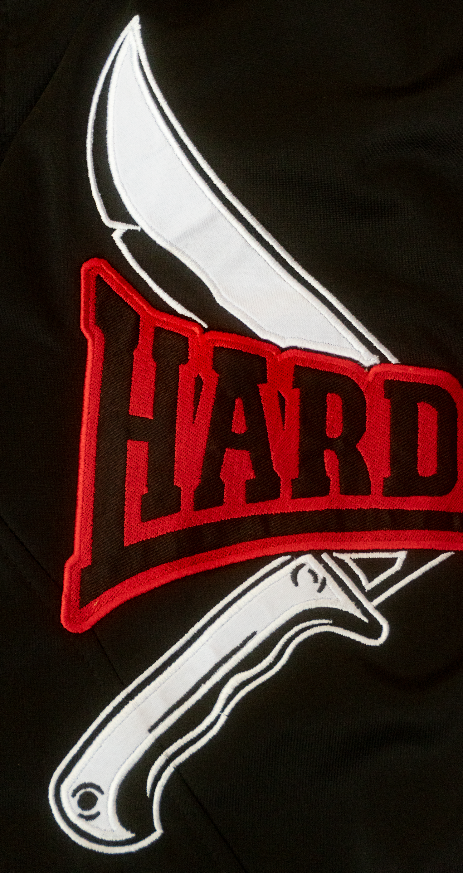 CONJUNTO CHANDAL "LOSDELPARKING"